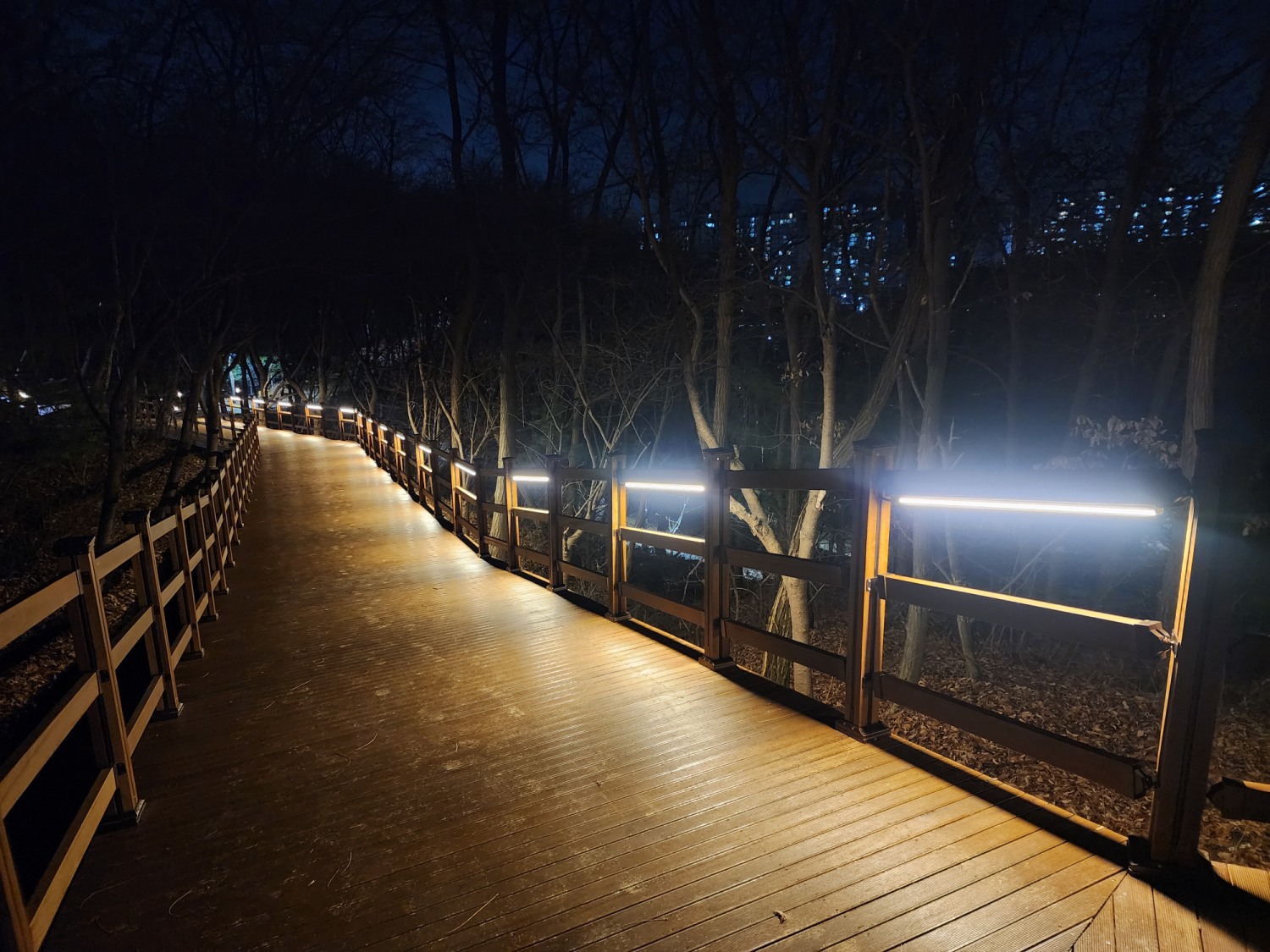 도심 속 힐링 공간 서봉숲길