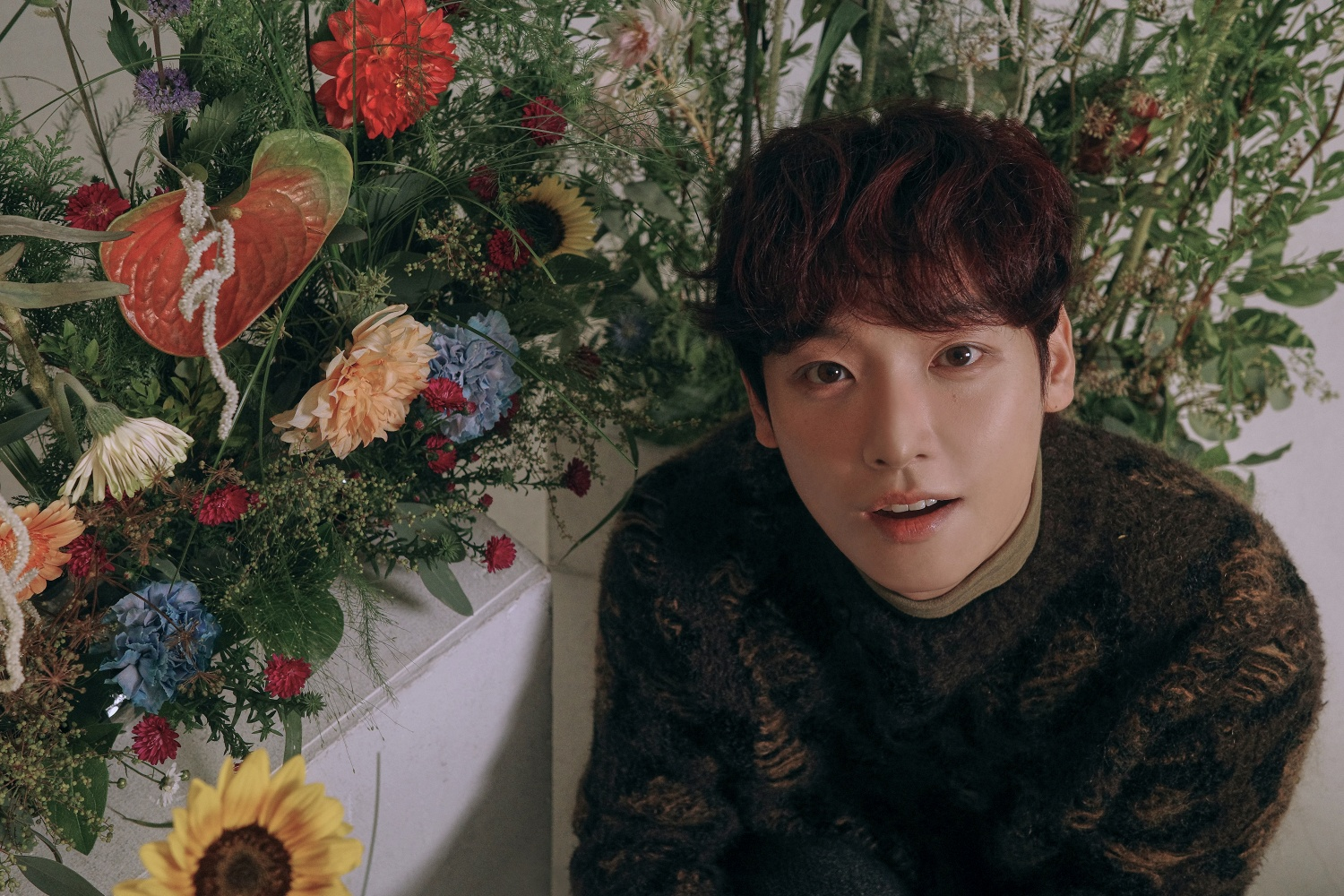 SF9 인성, 미니 1집 ‘Crossfade:’ 두 번째 콘셉트 포토 공개…다채로운 매력+따뜻한 분위기