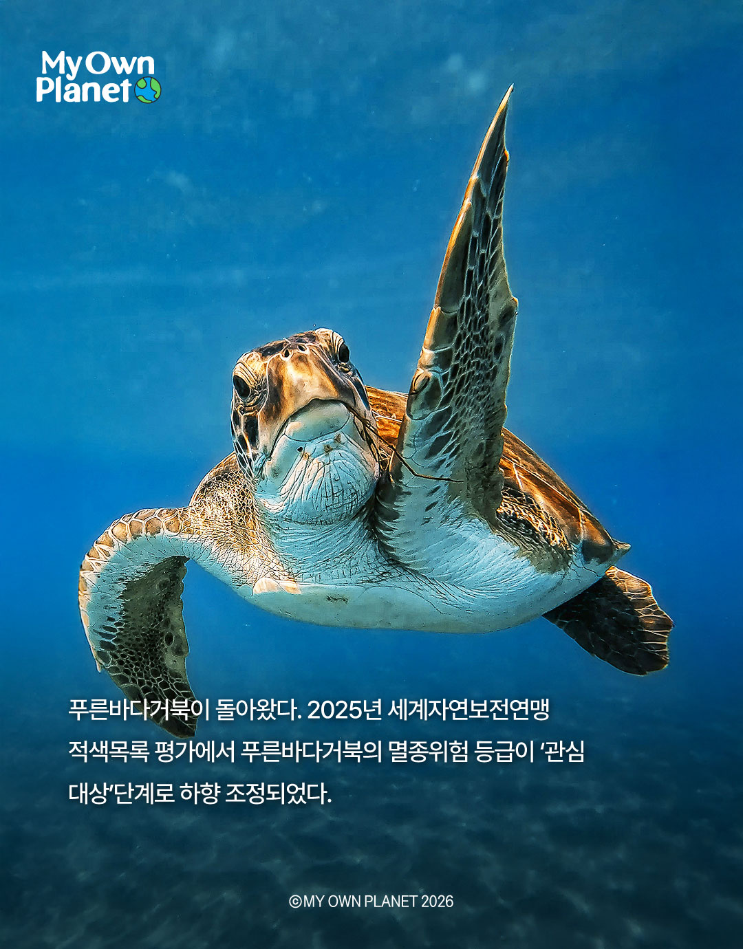 마이 오운 플래닛(My Own Planet) 기후행동 실천 캠페인 20 “기후행동이 만든 변화와 성과”