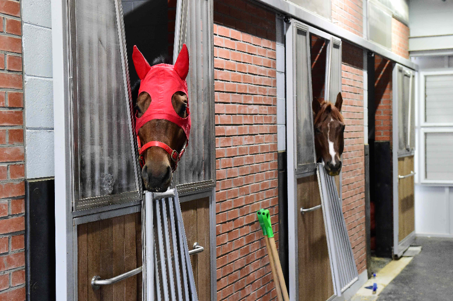 두바이 수송 대기중인 (좌)석세스스토리와 (우)천구