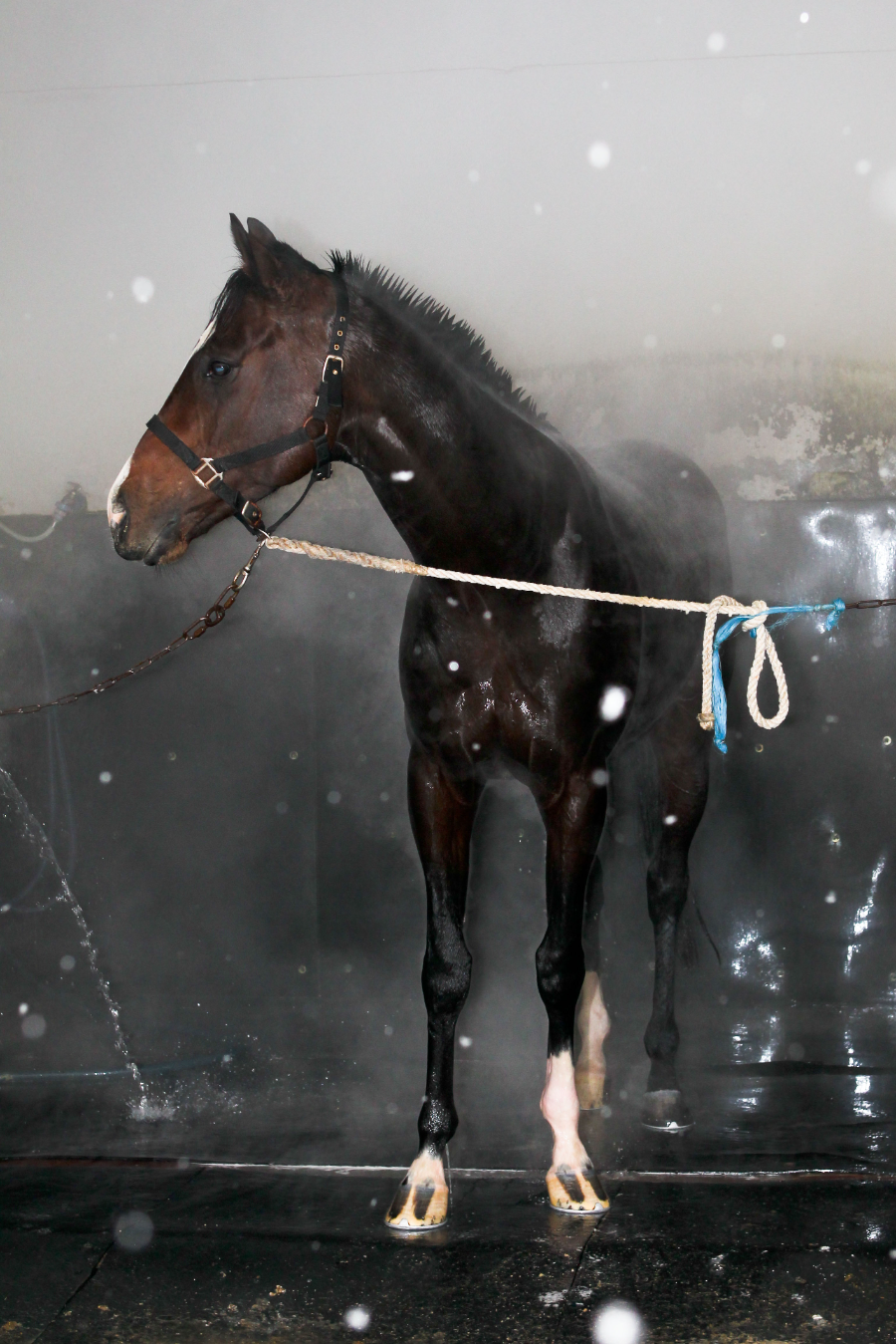 첫눈 오는날 따뜻한 물로 샤워를 하고 있다