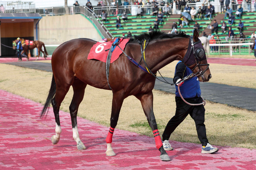 내로라하는 강자 총출동… 렛츠런파크 서울 1,400m 1등급 경주 개최