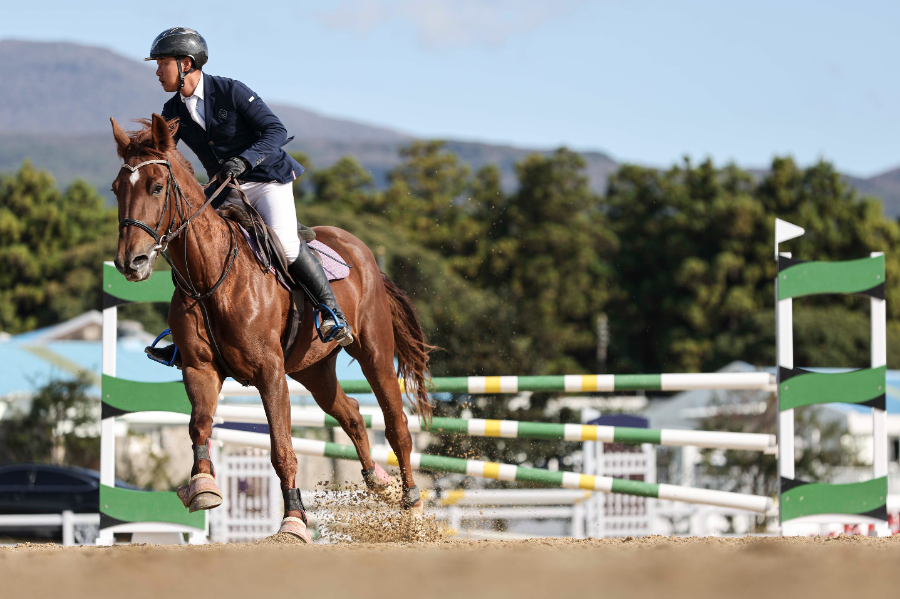 2026년 은퇴경주마 승용전환 지원사업 1차 신청 접수