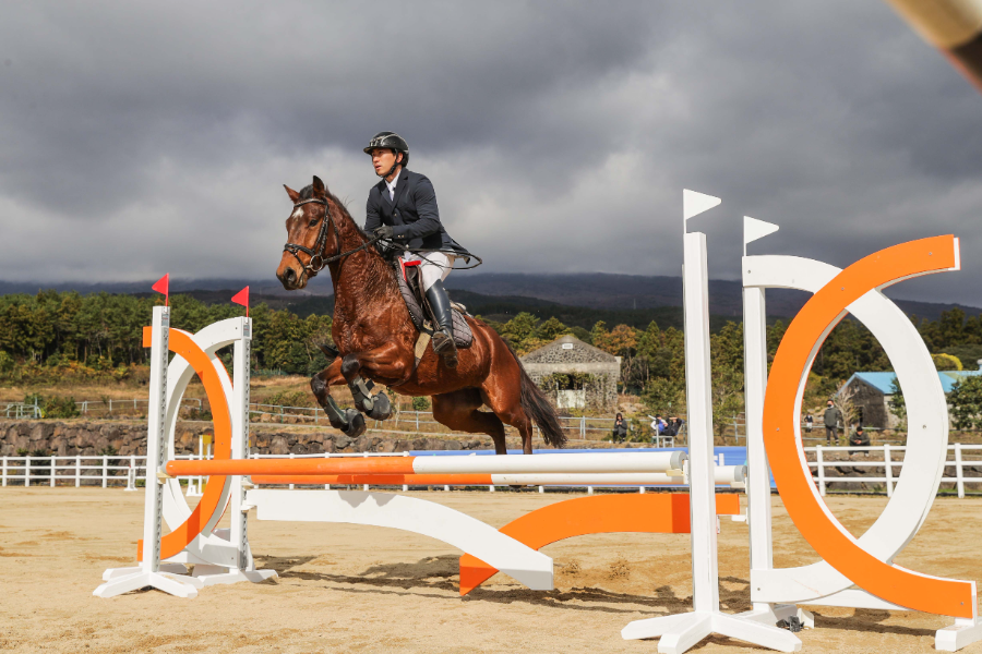 2026년 은퇴경주마 승용전환 지원사업 1차 신청 접수