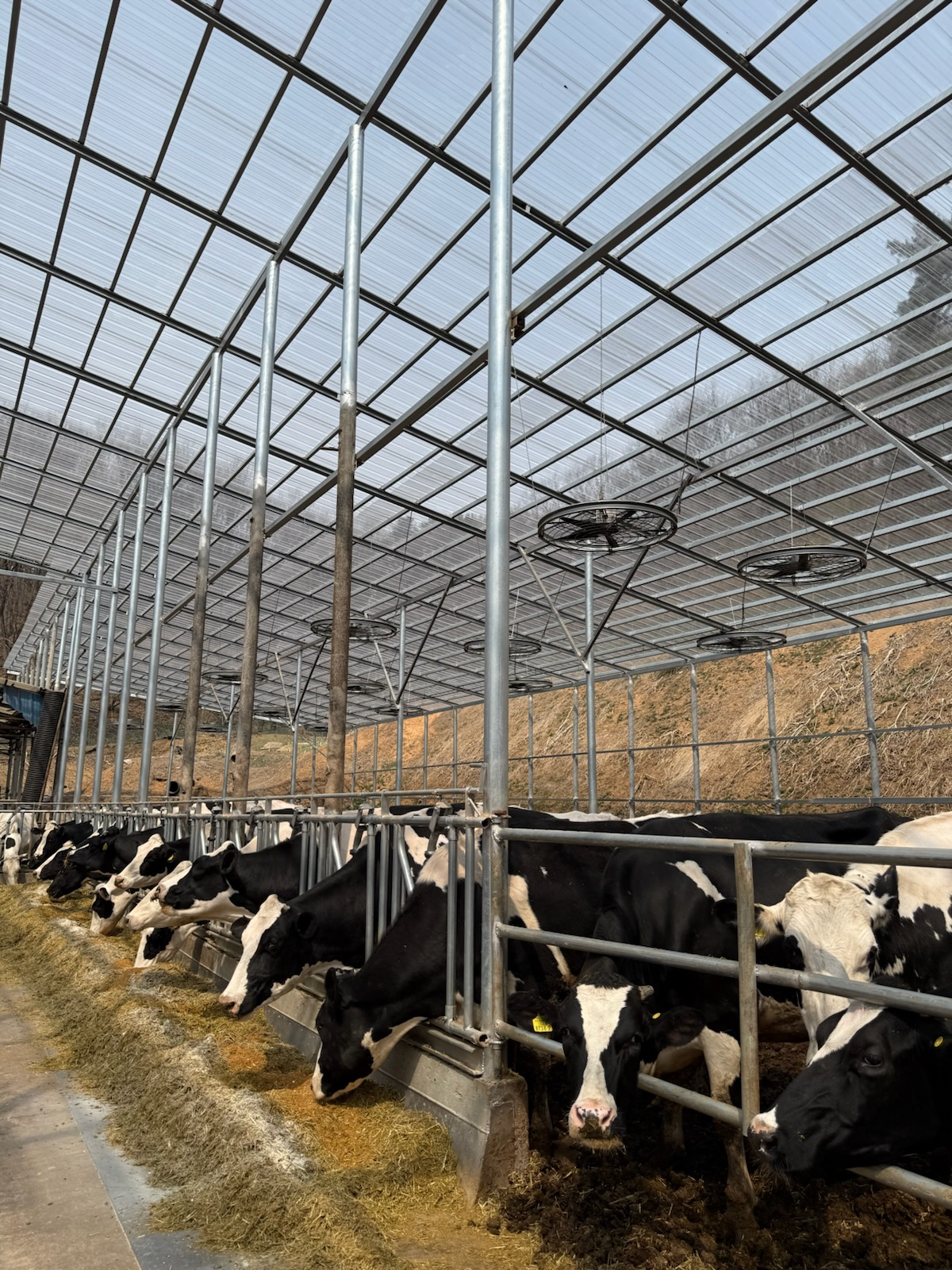 축산분야 생산지원사업