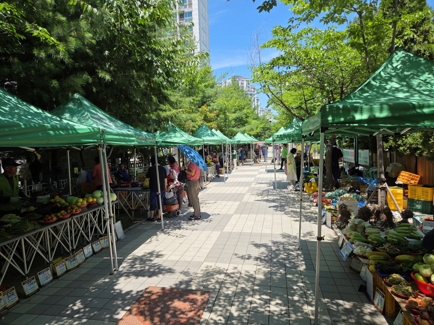 안성농업인 직거래장터 참여 농가 모집