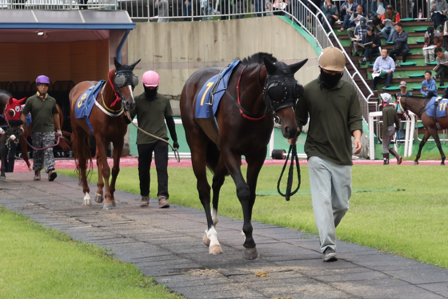 지모션_25년9월28일 일간스포츠배