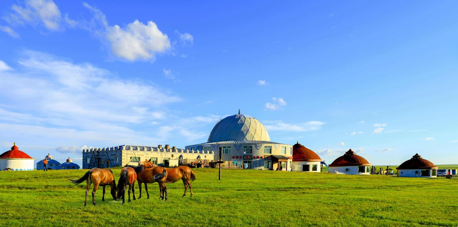 울란바토르 마라톤 패키지_초원
