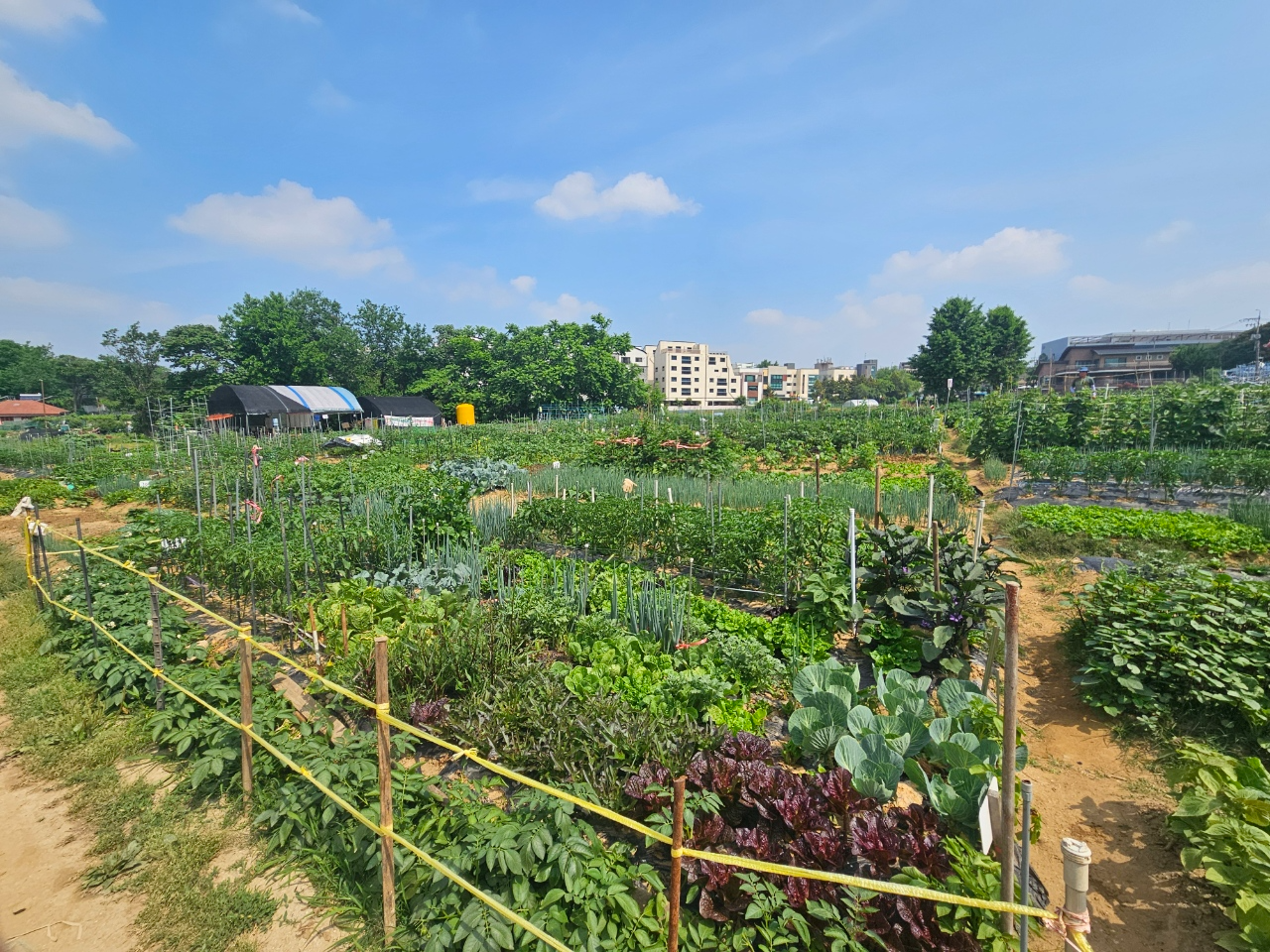 행복가꿈 주말농장_월암농장