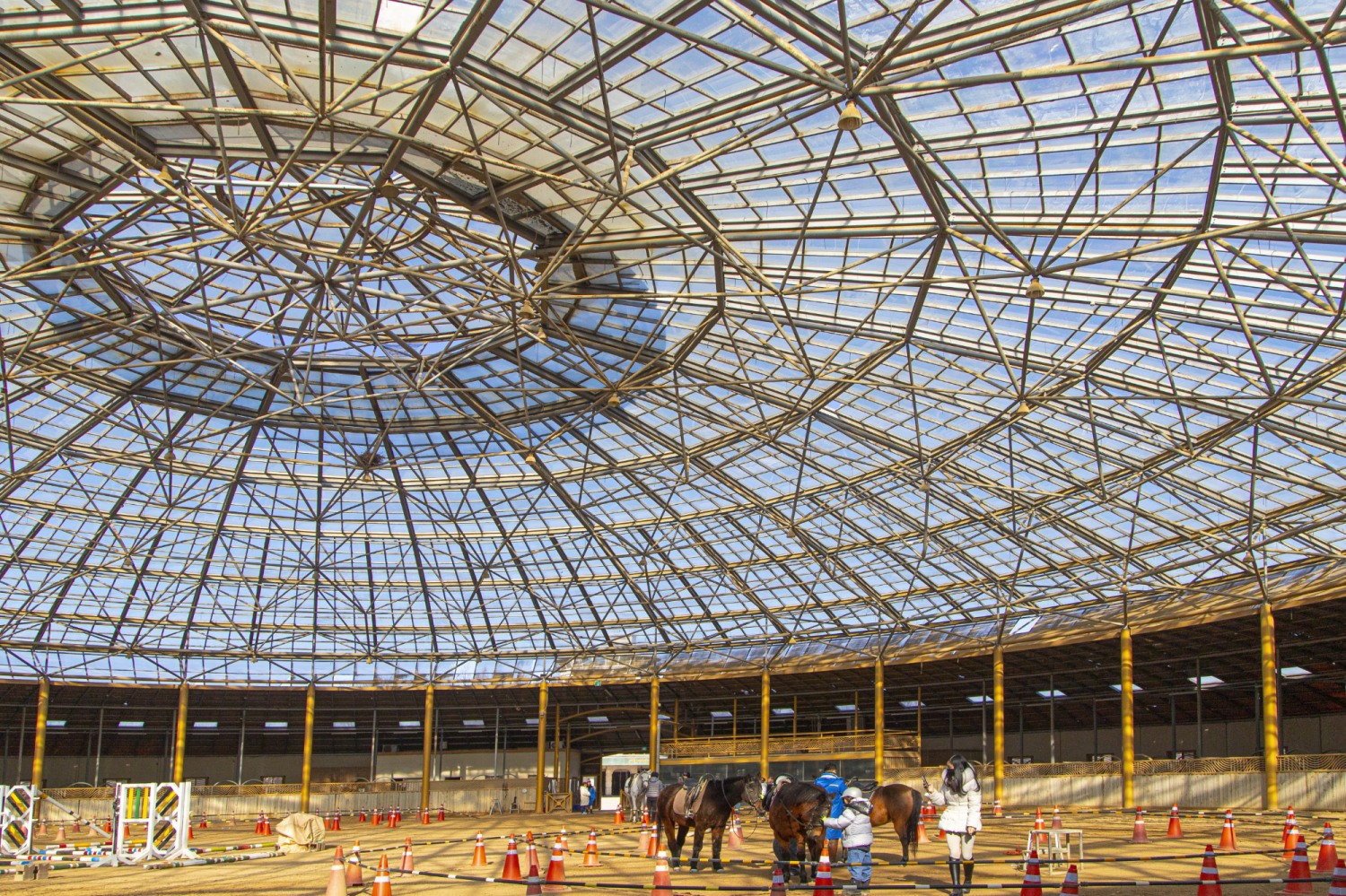 양평 골든쌔들 승마클럽