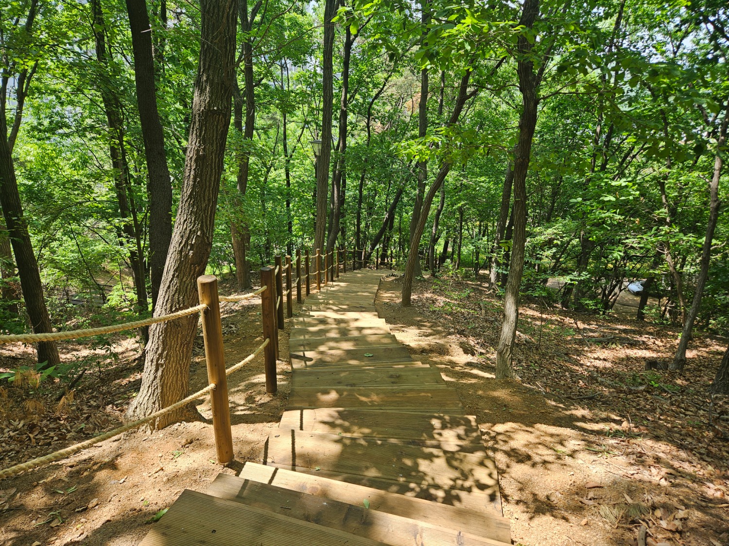 용인특례시 지역내 도시공원