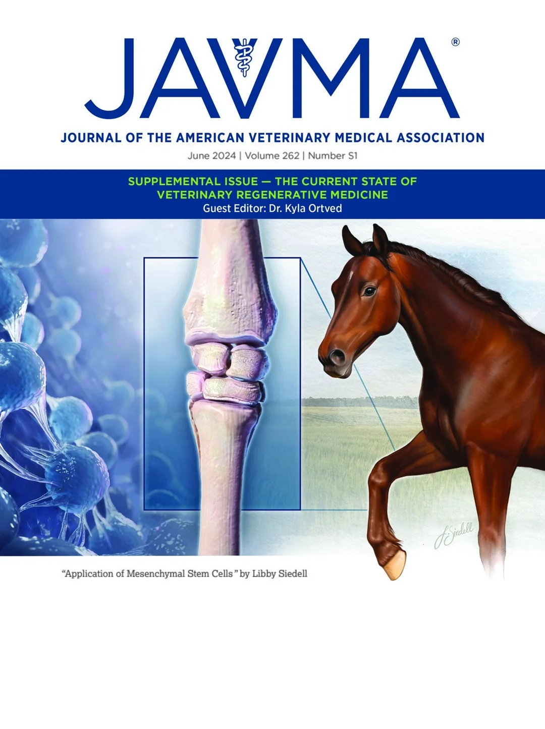 한국마사회 말수의학 연구 세계적 권위 학술지 EVJ 게재