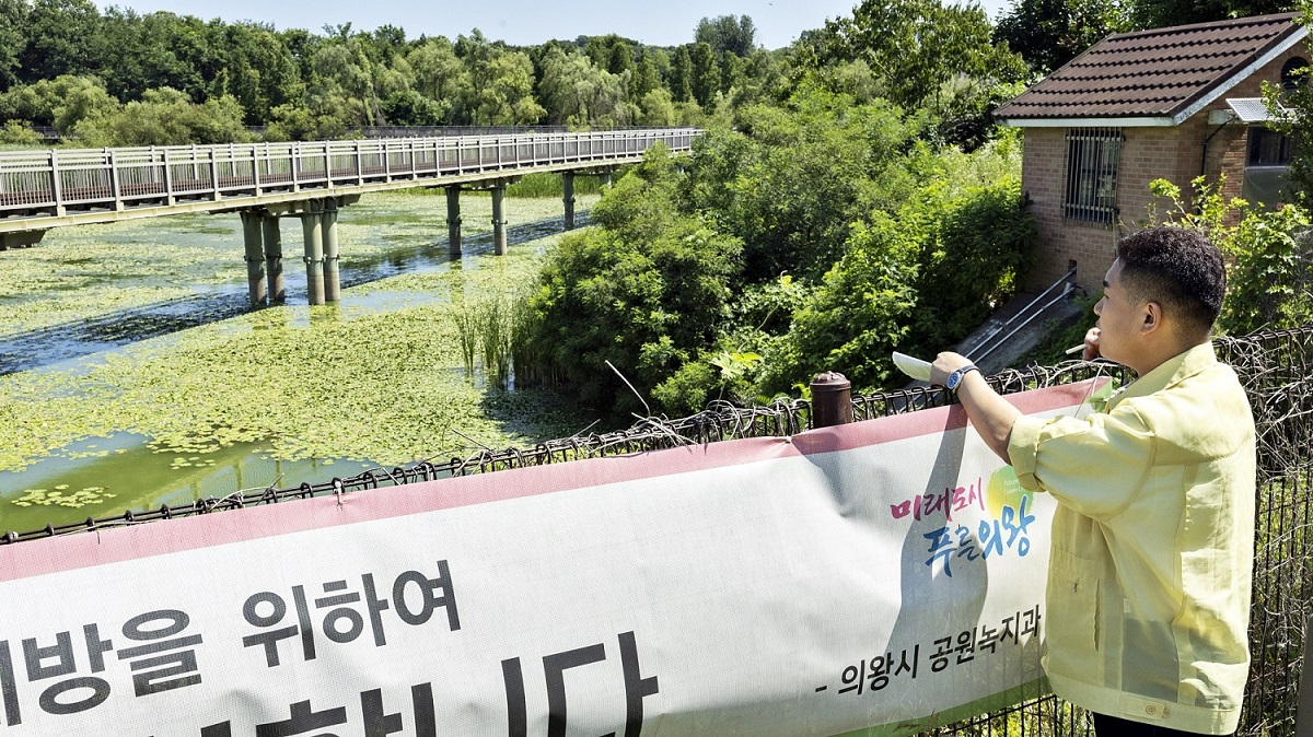 왕송호수 녹조 현장을 긴급 방문해 점검하는 모습