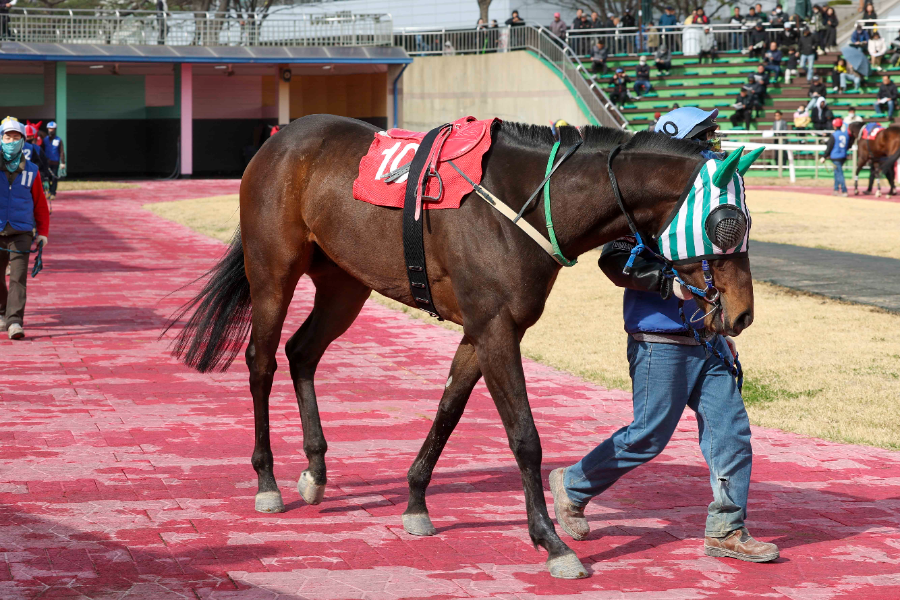 영광의월드 (25년 4월 13일 SBS 스포츠스프린트 예시장)