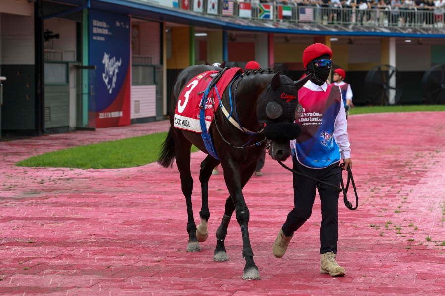 블랙머스크 (25년 9월 7일 코리아스프린트 예시장)