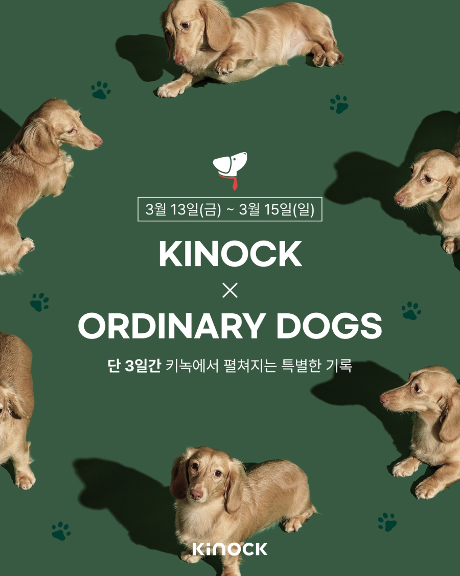 교원그룹 키녹, 반려동물 프로필 촬영 이벤트…“특별한 추억 만들어 보세요”