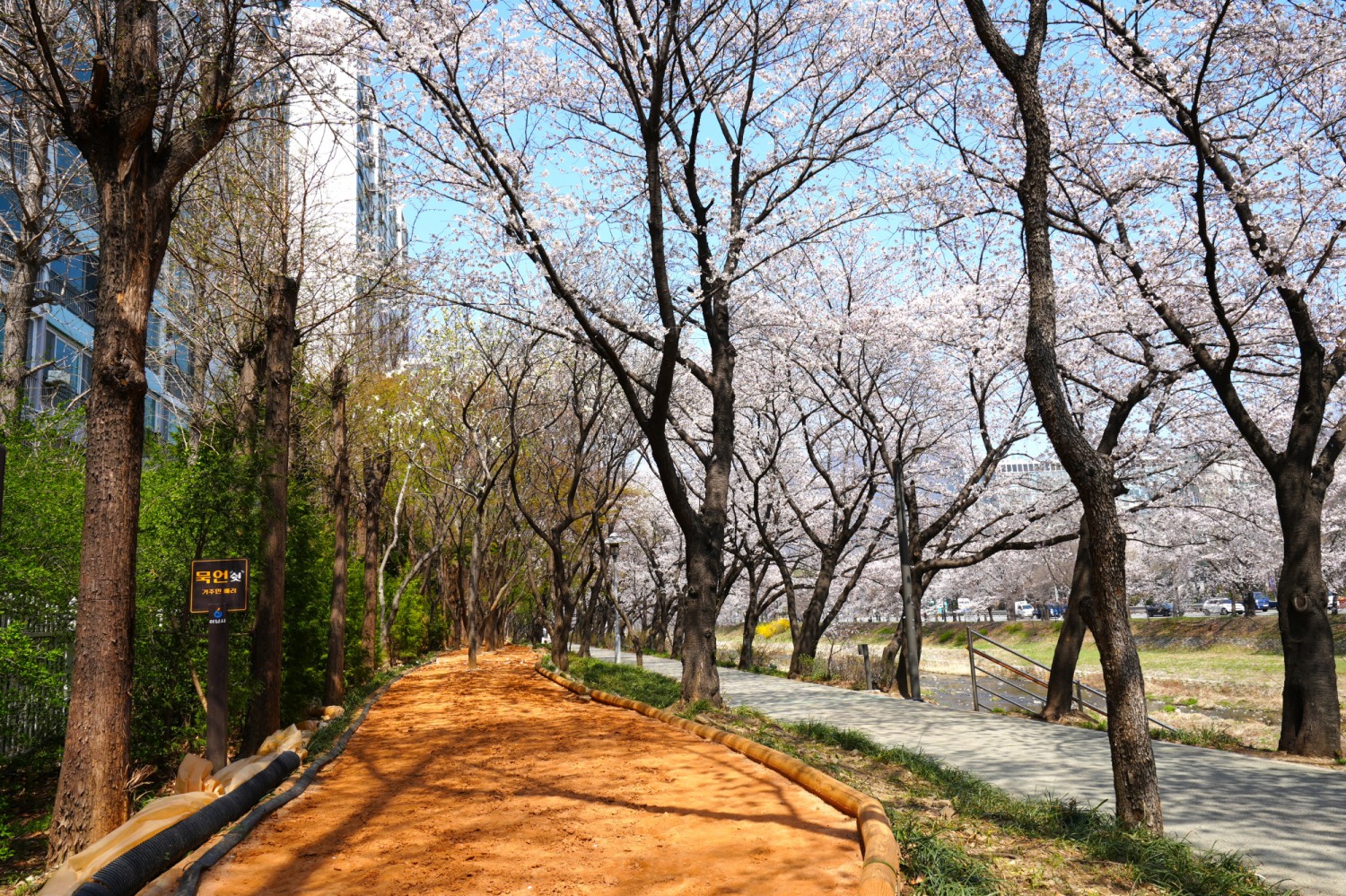 맨발 걷기 황토길