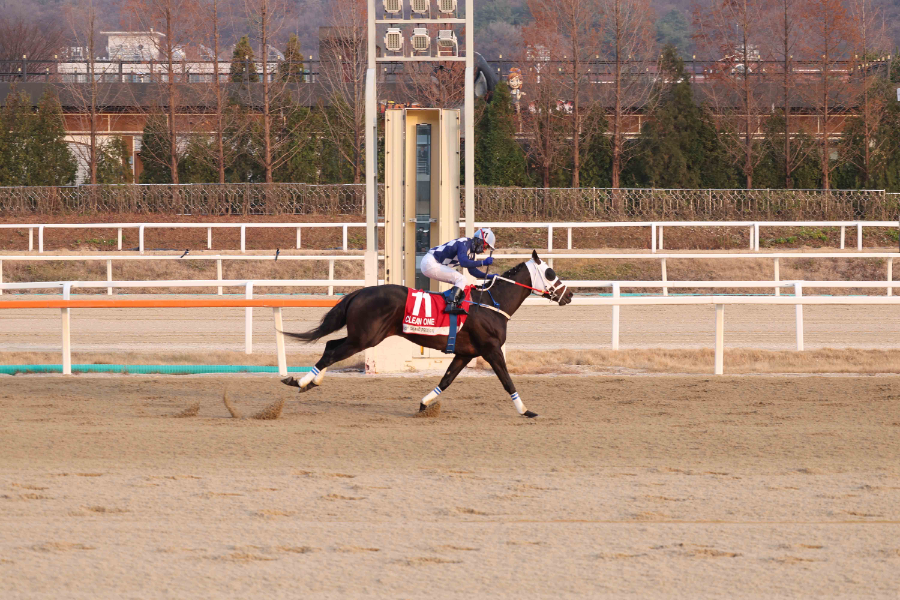 3월 15일 헤럴드경제배 장거리 스타마 총출동...“별들의 전쟁”