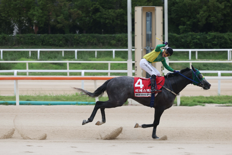 3월 15일 헤럴드경제배 장거리 스타마 총출동...“별들의 전쟁”