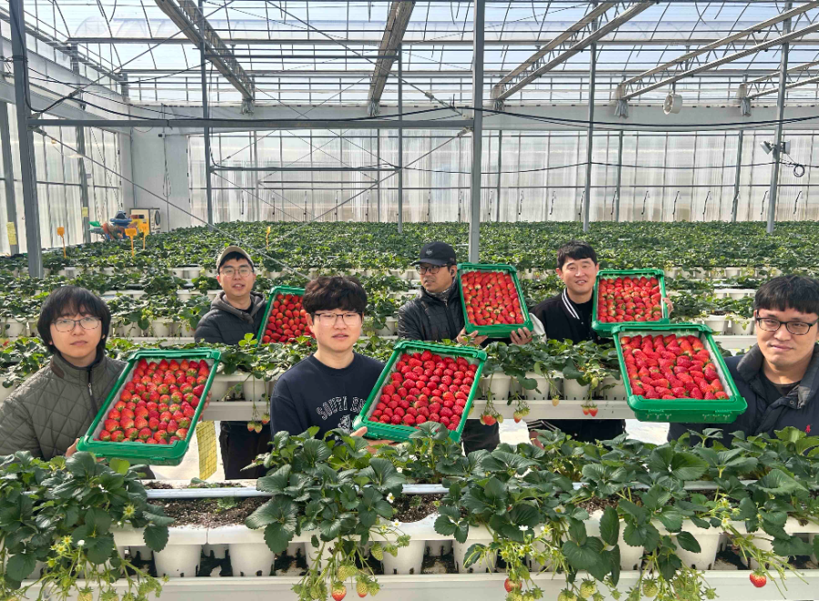 경북 의성의 진한딸기 공선회 청년 농부들이 상품과 함께 사진 촬영하고 있다.
