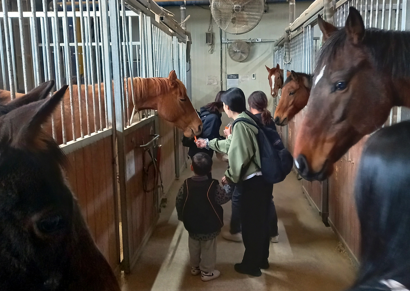 승마프로그램 진행 / 아산시 제공