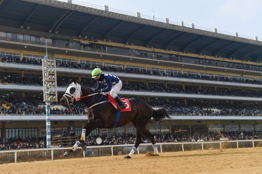 제24회 헤럴드경제배에서 우승한 클린원과 서승운 기수