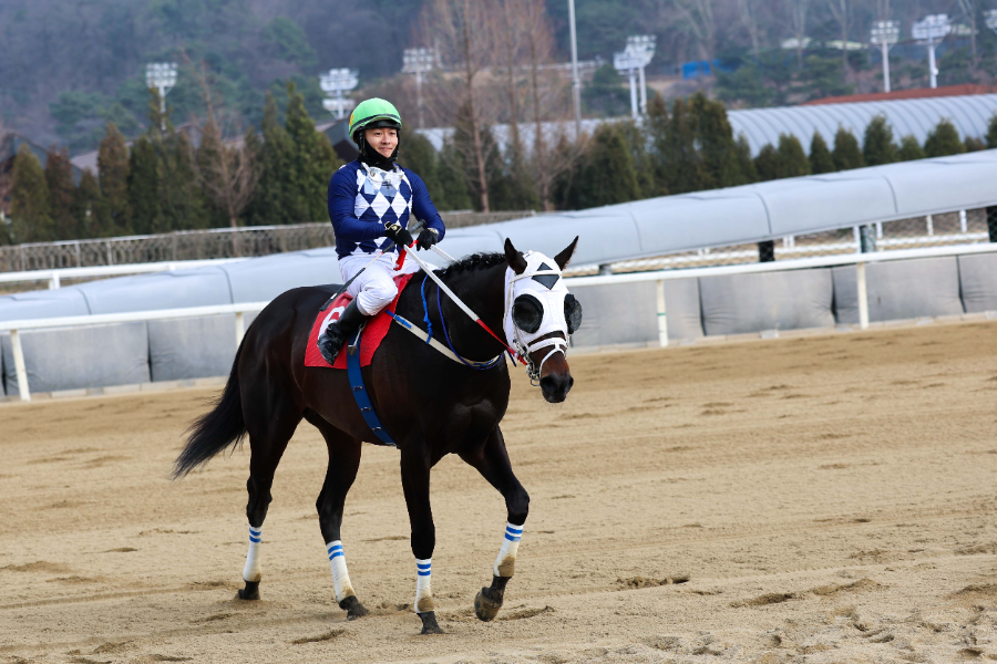 제24회 헤럴드경제배에서 우승한 클린원과 서승운 기수
