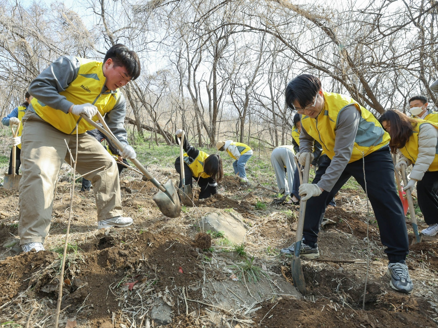 동서식품, 상암동 노을공원서 나무심기 봉사활동 진행