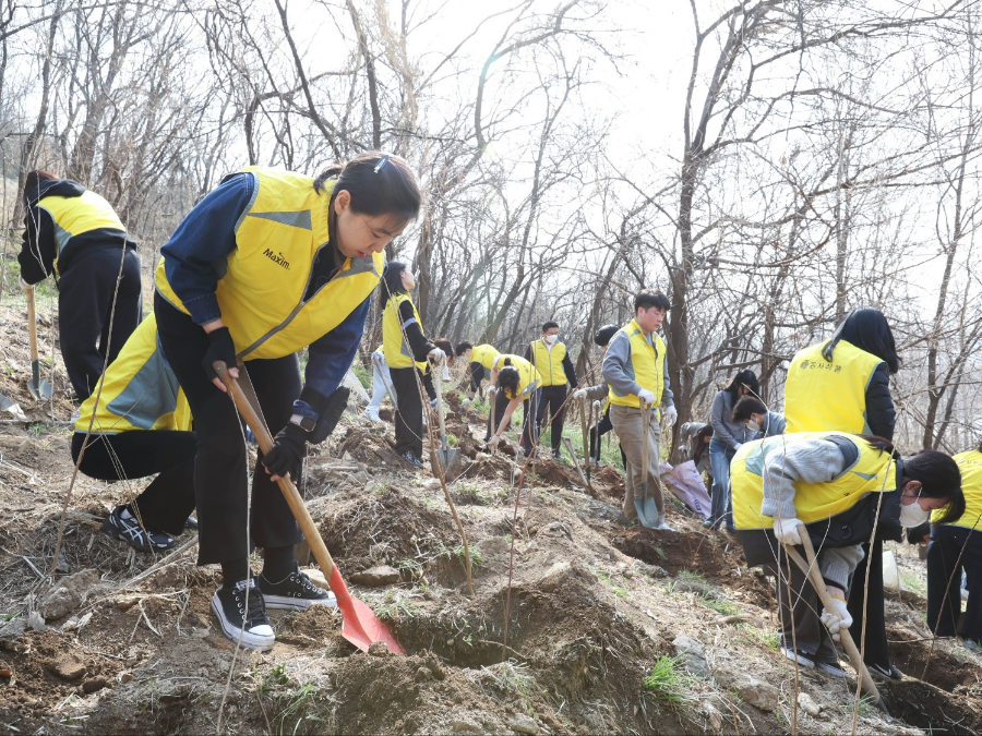 동서식품, 상암동 노을공원서 나무심기 봉사활동 진행