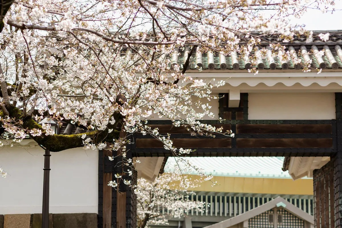 에어비앤비, 제주·일본 노선 겨냥 ‘봄맞이 프로모션’ 전개