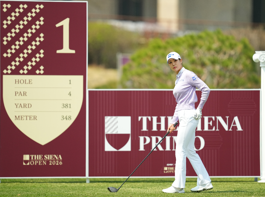 ▶더시에나 제공