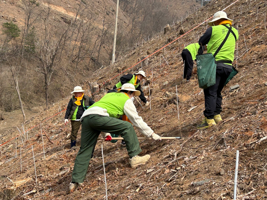 풀무원, 제81회 식목일 기념 나무심기 행사 참여