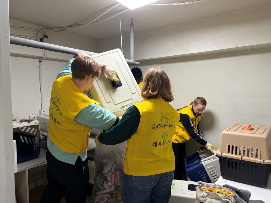 네츄럴코어, ‘글로벌 프렌즈 봉사단’으로 ‘유기동물 케어와 해외 입양까지’ 잇는다