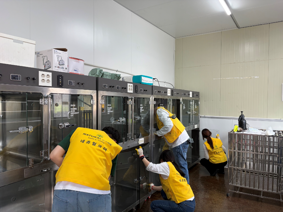 네츄럴코어, ‘글로벌 프렌즈 봉사단’으로 ‘유기동물 케어와 해외 입양까지’ 잇는다