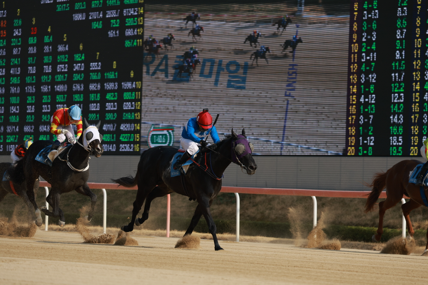 KRA컵 마일 우승마 3번 퍼니와일드와 서승운 기수