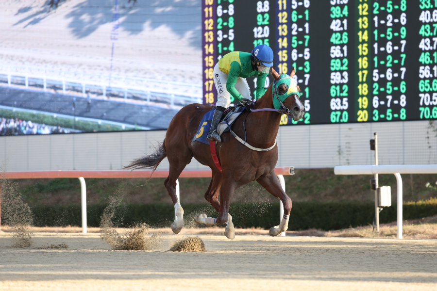 제34회 SBS스포츠 스프린트 개최, ‘빈체로카발로’ 독주 이어지나