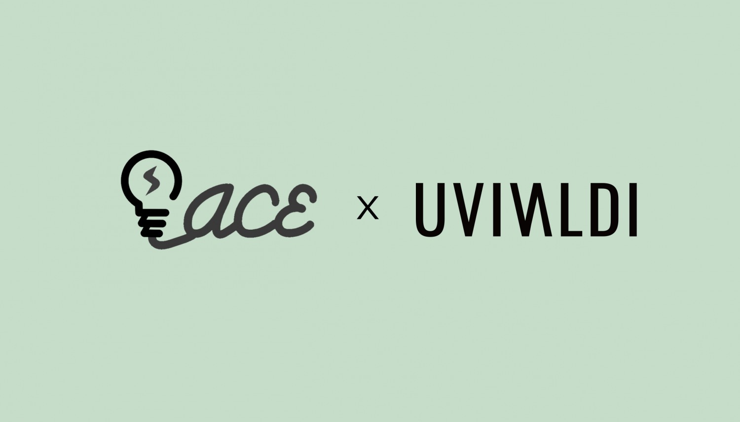 숭실대 마케팅 동아리 ACE, 뷰티 브랜드 유비발디