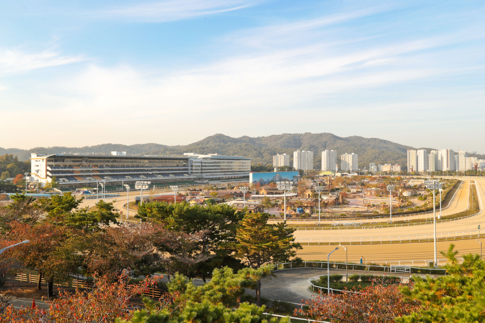 한국마사회, 사회적경제기업의 든든한 동반자로 4년 연속 성장을 견인하다