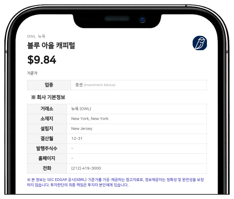 블루 아울 캐피털, 2분기 운용자산 3190억 달러 달성…주당 0.23달러 배당