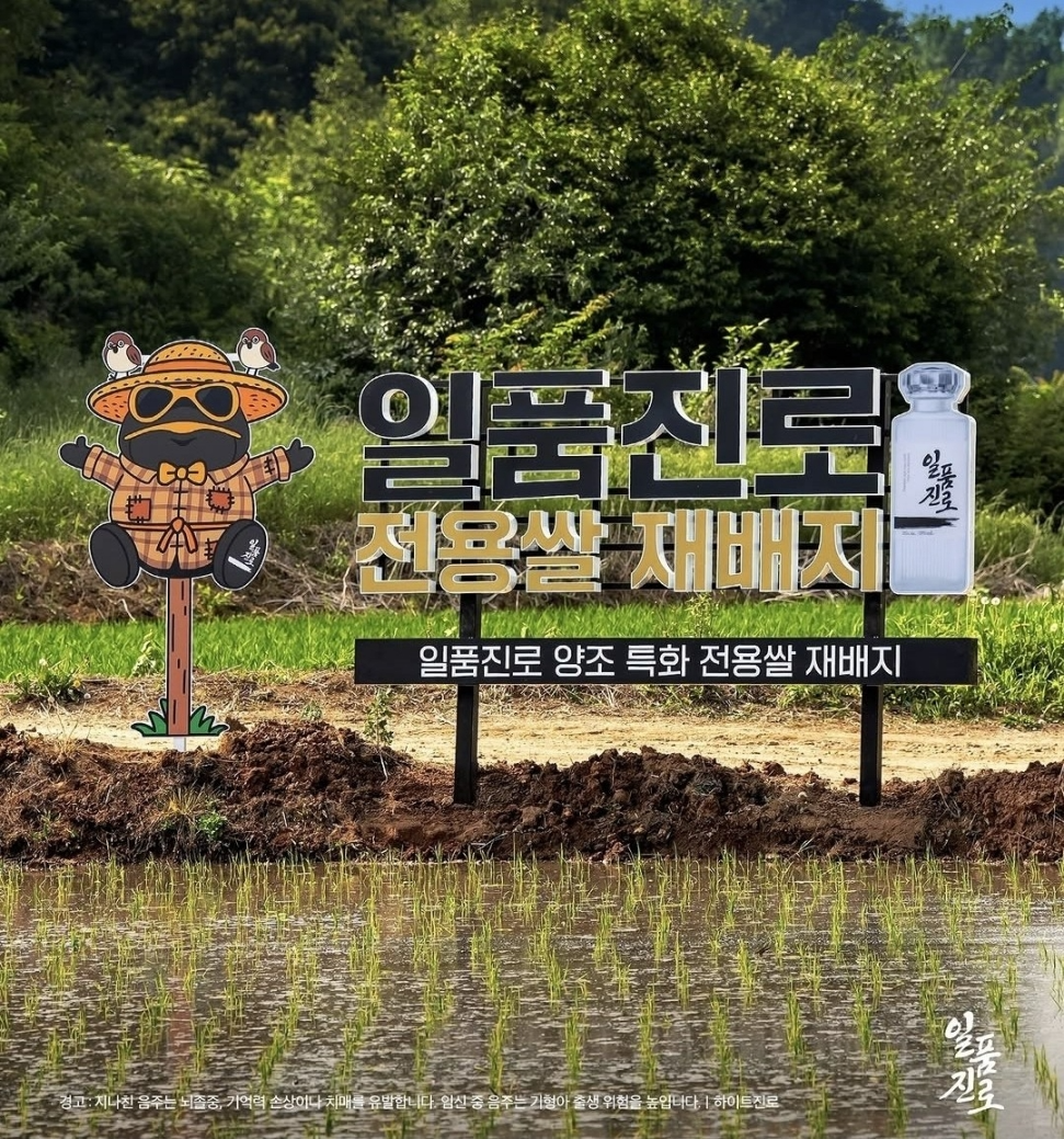 하이트진로, 100년 양조 기술력 담은 '일품진로 1924 헤리티지' 출시