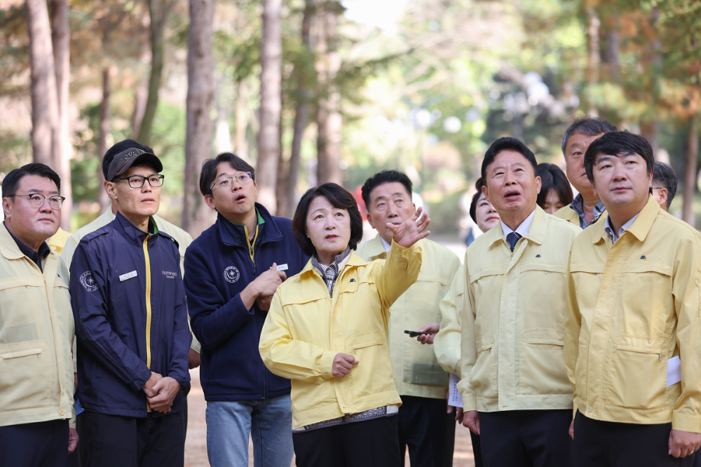 소나무재선충병 확산 막기 위한 현장행보