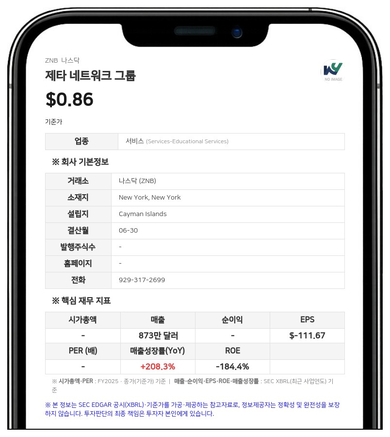 제타 네트워크 그룹, 연간 순손실 1억 5746만 달러로 적자 확대…SolvBTC 손상차손 1억 1402만 달러