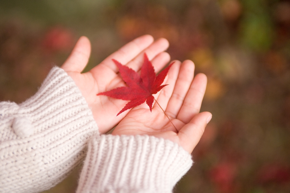 (사진=ClipartKorea)