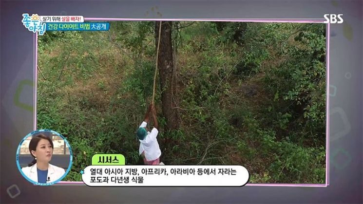 사진='좋은 아침' 방송화면 캡처