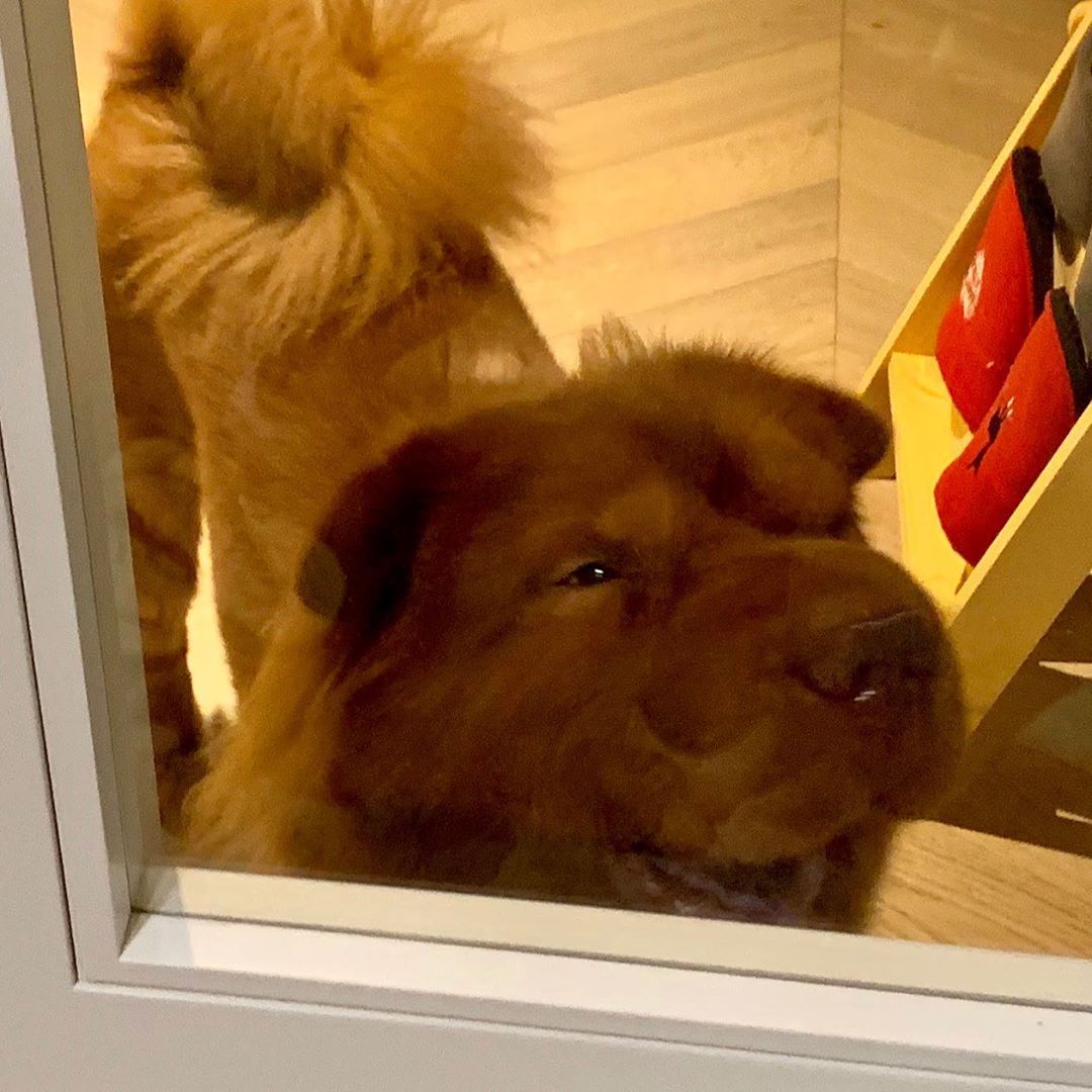 사진출처=설현에이오에이SNS