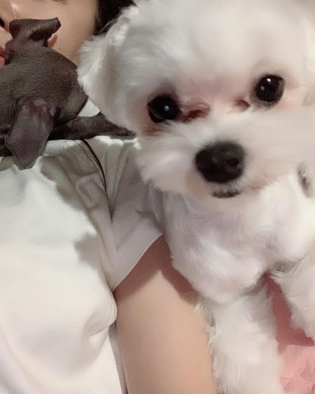 사진=엘린인스타그램