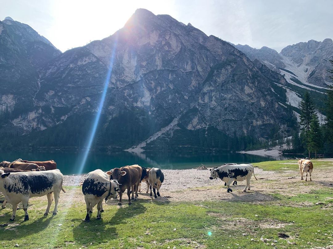 사진출처=에밀라클라크SNS캡처