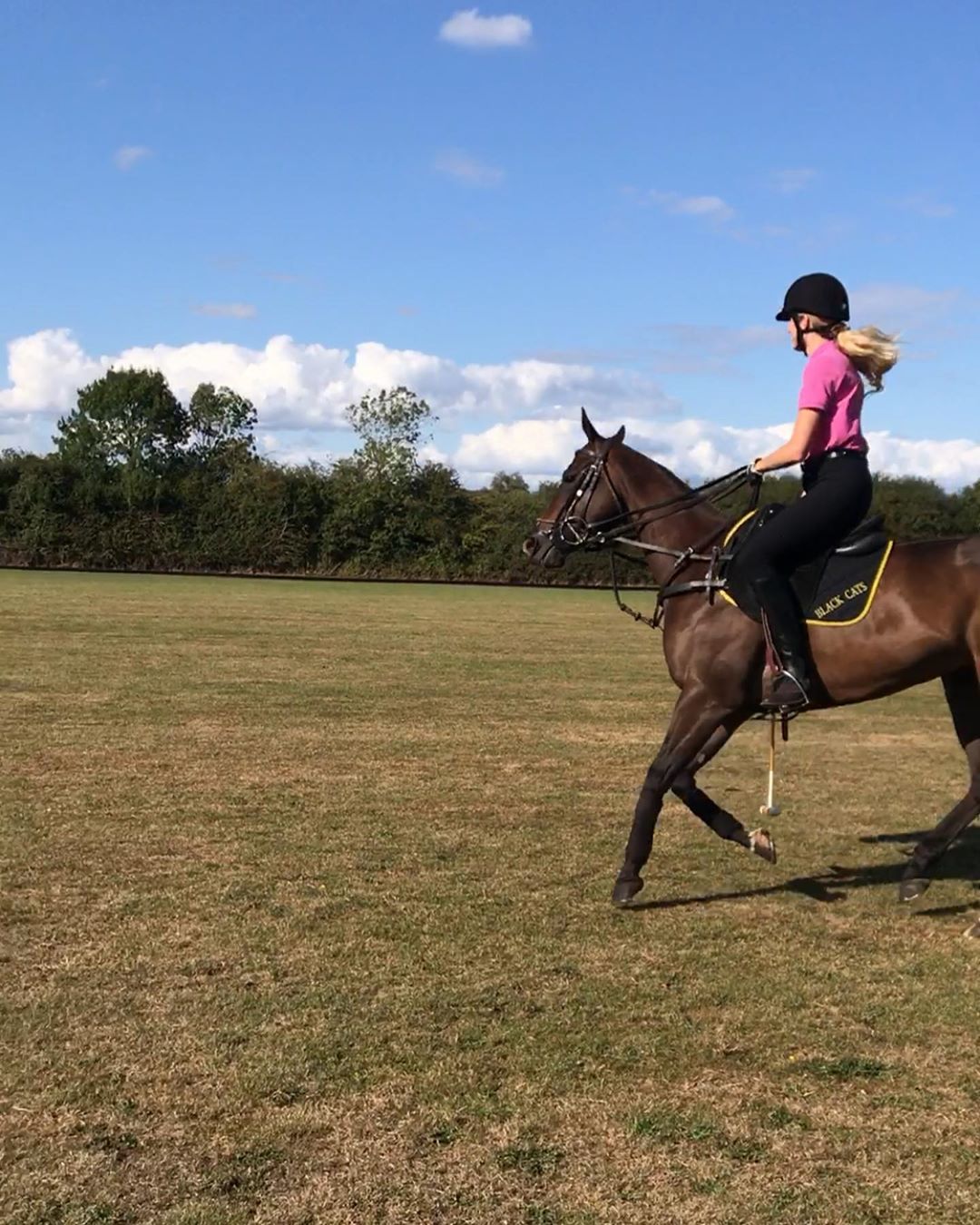 사진=베로니카헤일브루너SNS