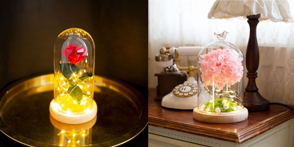 원모먼트 천일화 꽃 무드등 월간 판매액 1억원 돌파 - 뉴스 썸네일 이미지