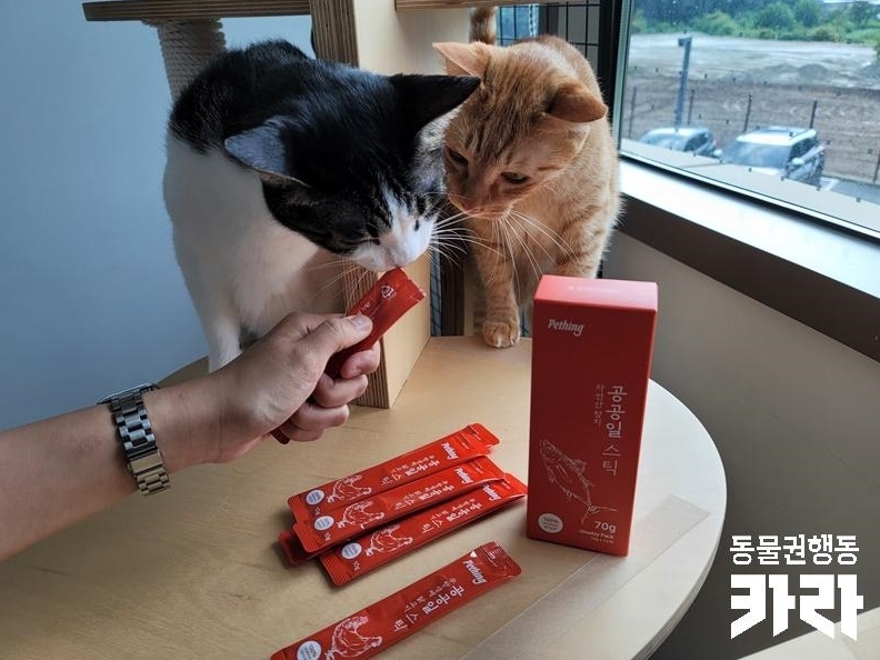 더식스데이, 유기동물 보호센터에 공공일스틱 기부